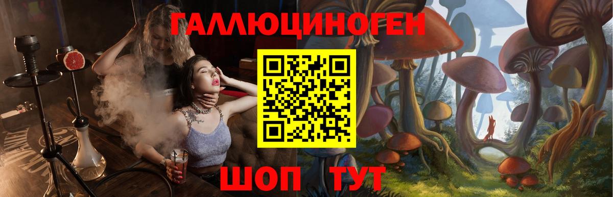 Сергиев Посад  Псилоцибиновые грибы ЛСД  Вход с VPN 